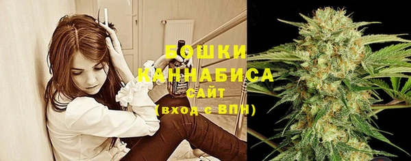 MESCALINE Новодвинск
