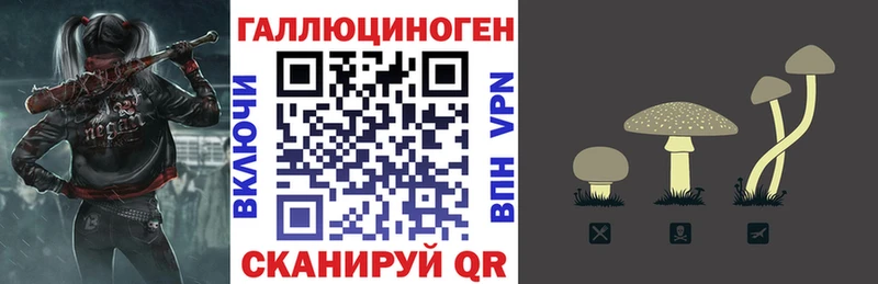 OMG как зайти  Красноармейск  Псилоцибиновые грибы мицелий 