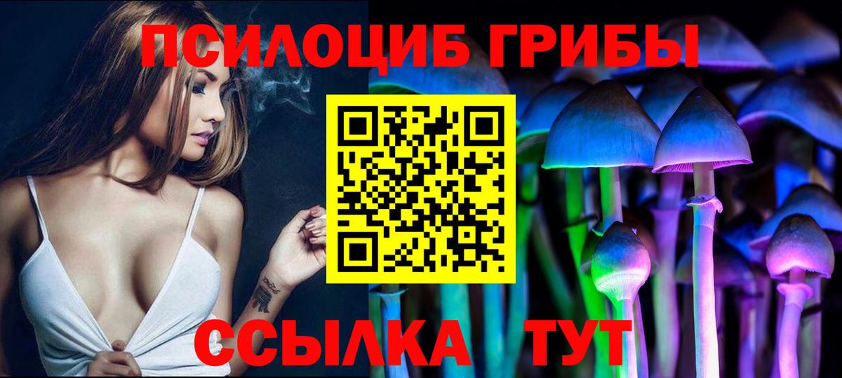 Псилоцибиновые грибы Psilocybe Красноармейск