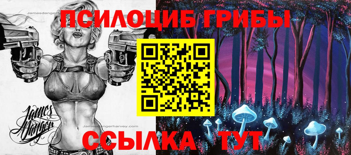 Псилоцибиновые грибы мицелий Красноармейск