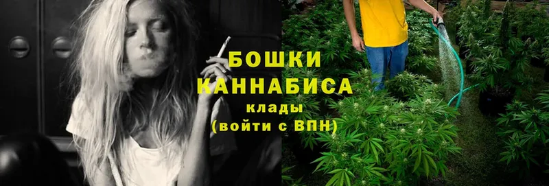 ссылка на мегу зеркало  Красноармейск  Шишки марихуана THC 21%  магазин  наркотиков 