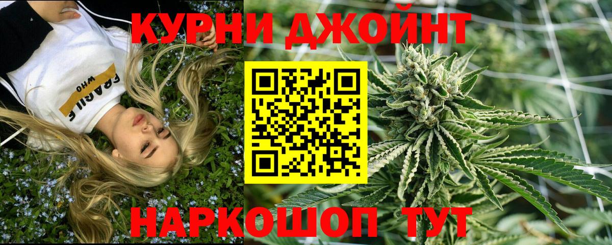 Бошки Шишки конопля  Канабис ГИДРОПОН  Красноармейск  Каннабис сатива 